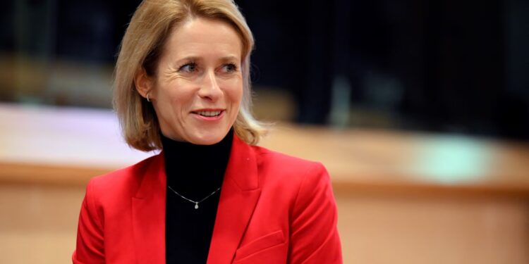 Use frozen Russian assets to aid Ukraine, says EU’s top diplomat