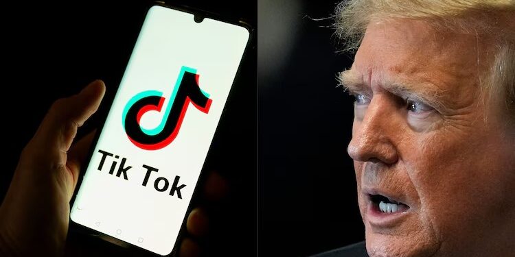 Trump asks Supreme Court to delay TikTok sale deadline