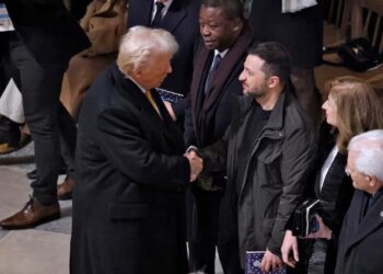 Trump calls for immediate Ukraine ceasefire