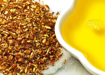 Robert F Kennedy Jr claims seed oils are ‘poisoning’ us. Here’s why he’s wrong