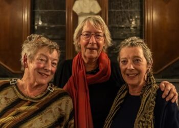 Netherlands to open archive on people accused of wartime Nazi collaboration