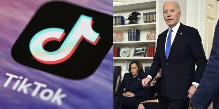 TikTok says it will go dark Sunday in US without assurance from Biden