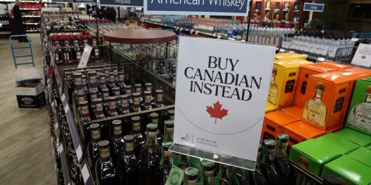 Trump says Americans may feel ‘pain’ in trade war with Mexico, Canada and China