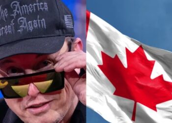 More than 200,000 Canadians sign petition to revoke Musk’s citizenship