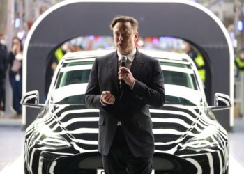 Tesla shares have plunged while Musk takes on Washington