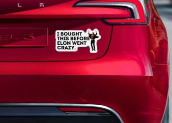 The anti-Musk protest movement is expected to ramp up with Congress on recess