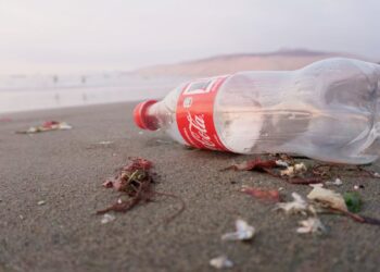 Coca-Cola plastic waste in oceans expected to reach 602m kilograms a year by 2030