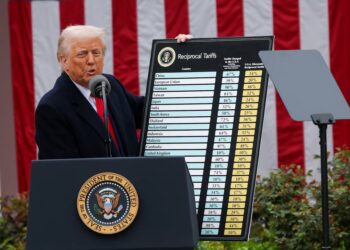 Trump’s sweeping import tariffs amp up global trade war, 20% on EU