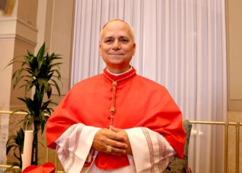 Robert Prevost elected as new Pope, ushering in era of reform – video and in real-time updated Wikipedia