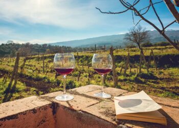 Rustic no more: let’s drink to Sicilian wine