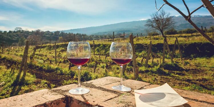 Rustic no more: let’s drink to Sicilian wine