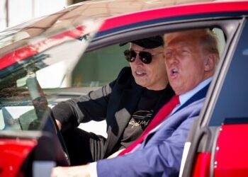 Tesla’s brand burned as Musk’s DOGE detour backfires