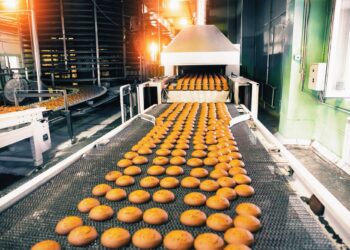 UK food producers count costs as post-Brexit checks face fresh delays