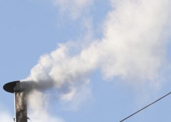 White smoke rises as new Pope elected in Vatican