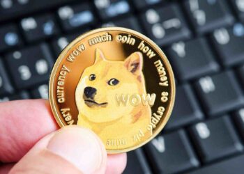 Dogecoin’s curious journey: from joke coin to Musk’s crypto mascot