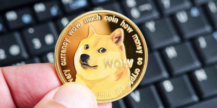 Dogecoin’s curious journey: from joke coin to Musk’s crypto mascot