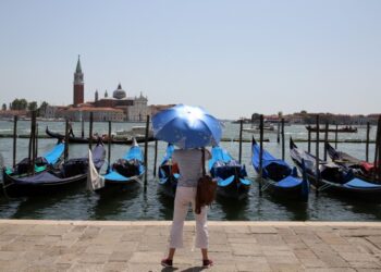 Europe burns: deadly heatwave exposes cost of climate inaction