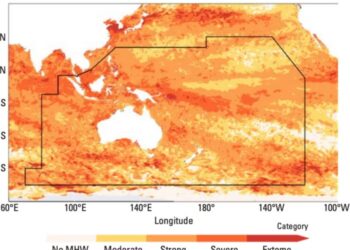Unprecedented ocean heatwave discovered, five times Australia’s scale