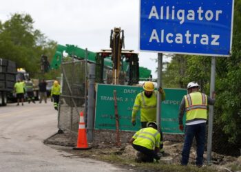 Miami archbishop condemns florida detention centre known as ‘alligator alcatraz’