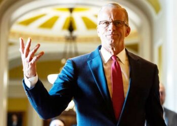 Senate approves spending cuts in Trump victory as aid and public broadcasting slashed