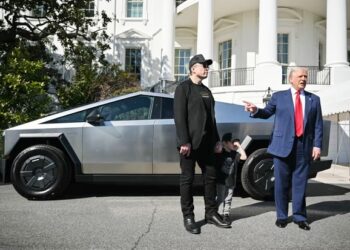 Elon Musk’s activism alienates US liberals, casting shadow over electric vehicle market