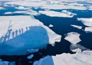 Dramatic slowdown in Arctic sea ice melting surprises scientists