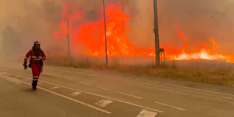 Deadly heatwave grips Southern Europe as temperatures soar past 40C