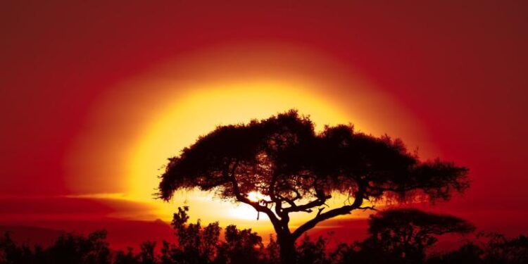 Extreme weather and climate change hit Africa hard