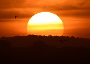 Rare Antarctic warming may bring extreme heat to Australia’s south-east