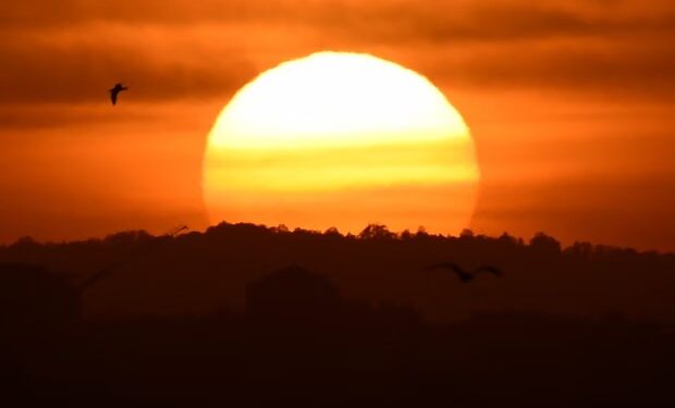 Rare Antarctic warming may bring extreme heat to Australia’s south-east