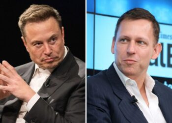 Elon Musk and Peter Thiel mentioned in Epstein documents released by Democrats