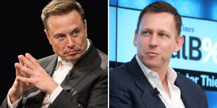 Elon Musk and Peter Thiel mentioned in Epstein documents released by Democrats