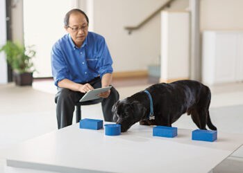 MIT study links AI reliance to reduced brain activity