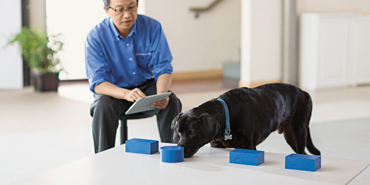 MIT study links AI reliance to reduced brain activity