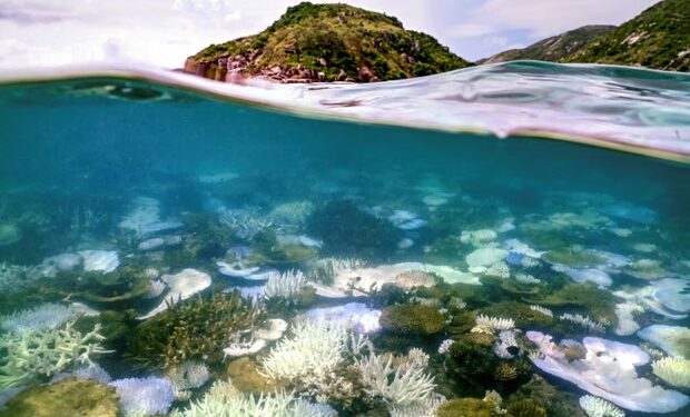 Planet reaches first catastrophic climate tipping point as coral reefs face mass dieback