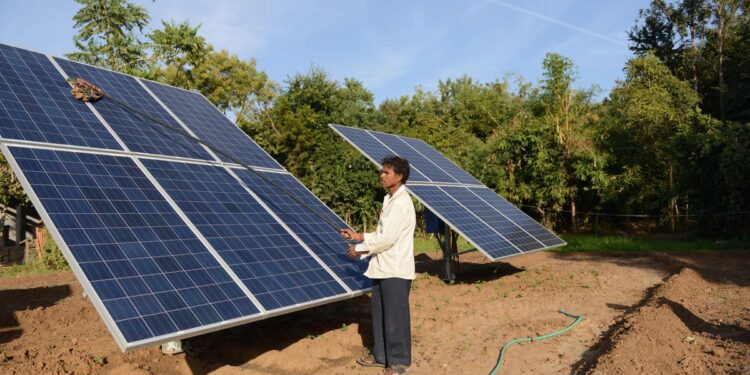 Sun King: from small solar lamps to a continental powerhouse