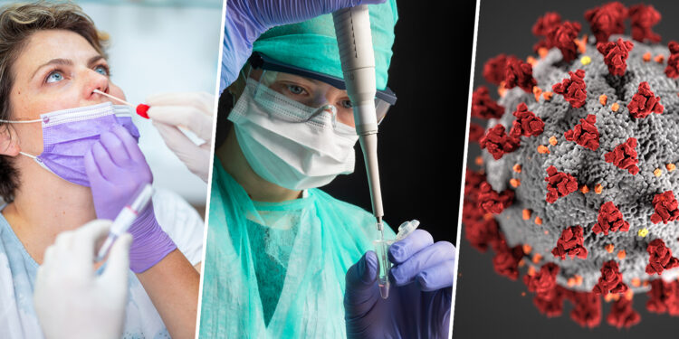 Covid-19: The global shock that reshaped the world