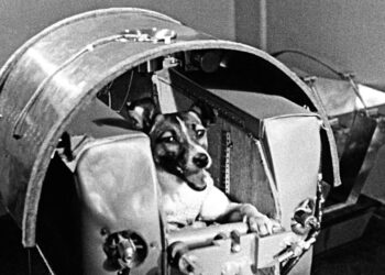 On this day in 1957: Laika launched into space