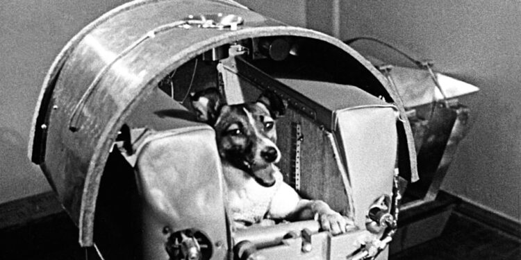 On this day in 1957: Laika launched into space
