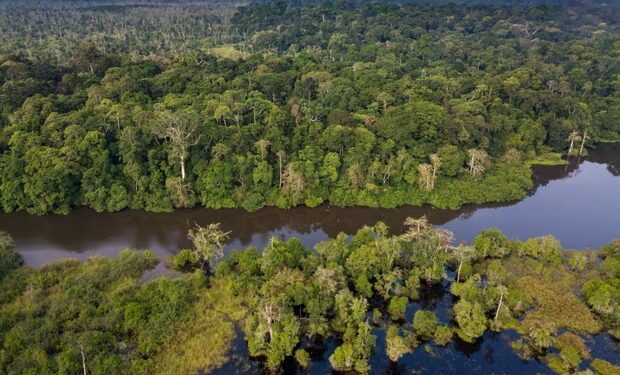 The forgotten rainforest: why the Congo basin matters more than ever