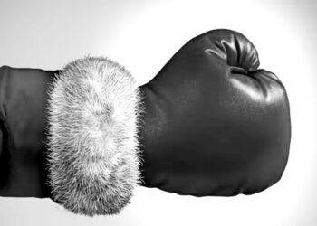 On this day: Boxing Day is celebrated as a public holiday in the United Kingdom, Australia, Canada, and New Zealand