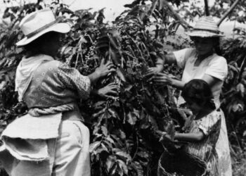 Coffee cooperative in Huila, Colombia, doubles income through digital payments