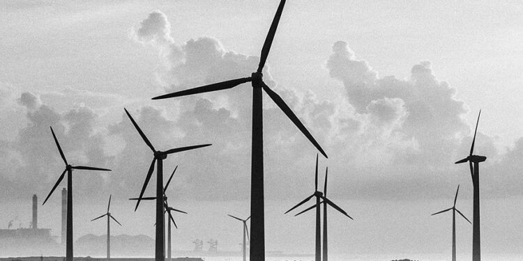 Brazil’s green finance market attracts sustained global investor interest