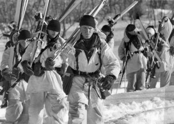 White House says US military ‘always an option’ in Greenland debate