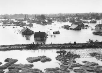 Climate aid cuts risk deepening crisis in the global south