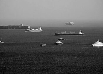 Trump was warned about Hormuz risk before war