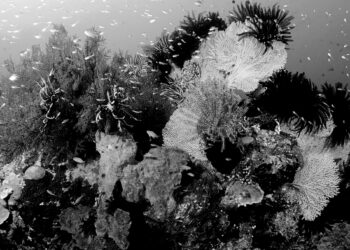 Earth pushed beyond its limits as energy imbalance hits record high