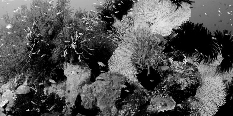 Earth pushed beyond its limits as energy imbalance hits record high