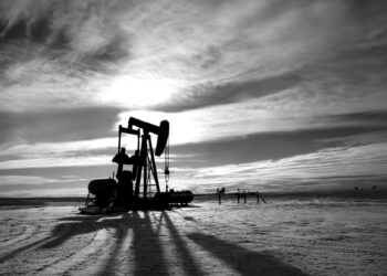 Trump signals easing of oil sanctions after call with Putin