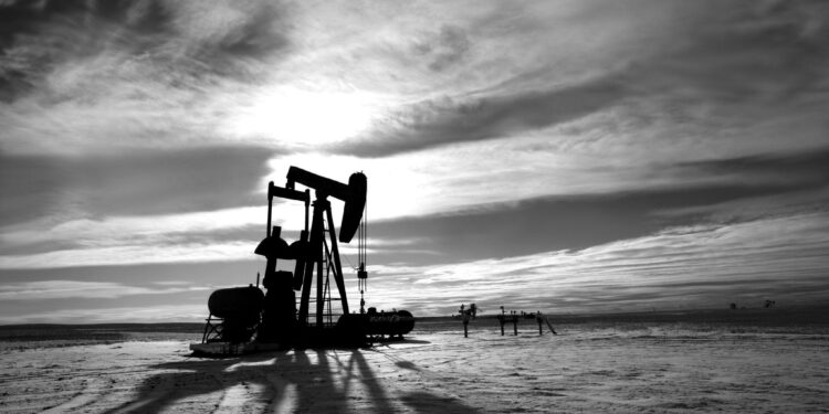 Trump signals easing of oil sanctions after call with Putin